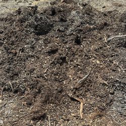 Free Compose Mulch