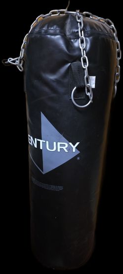 Century Hanging Punching Bag With Everlast Gloves sz 12 