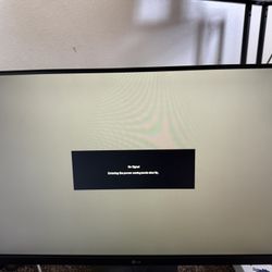 LG Monitor 