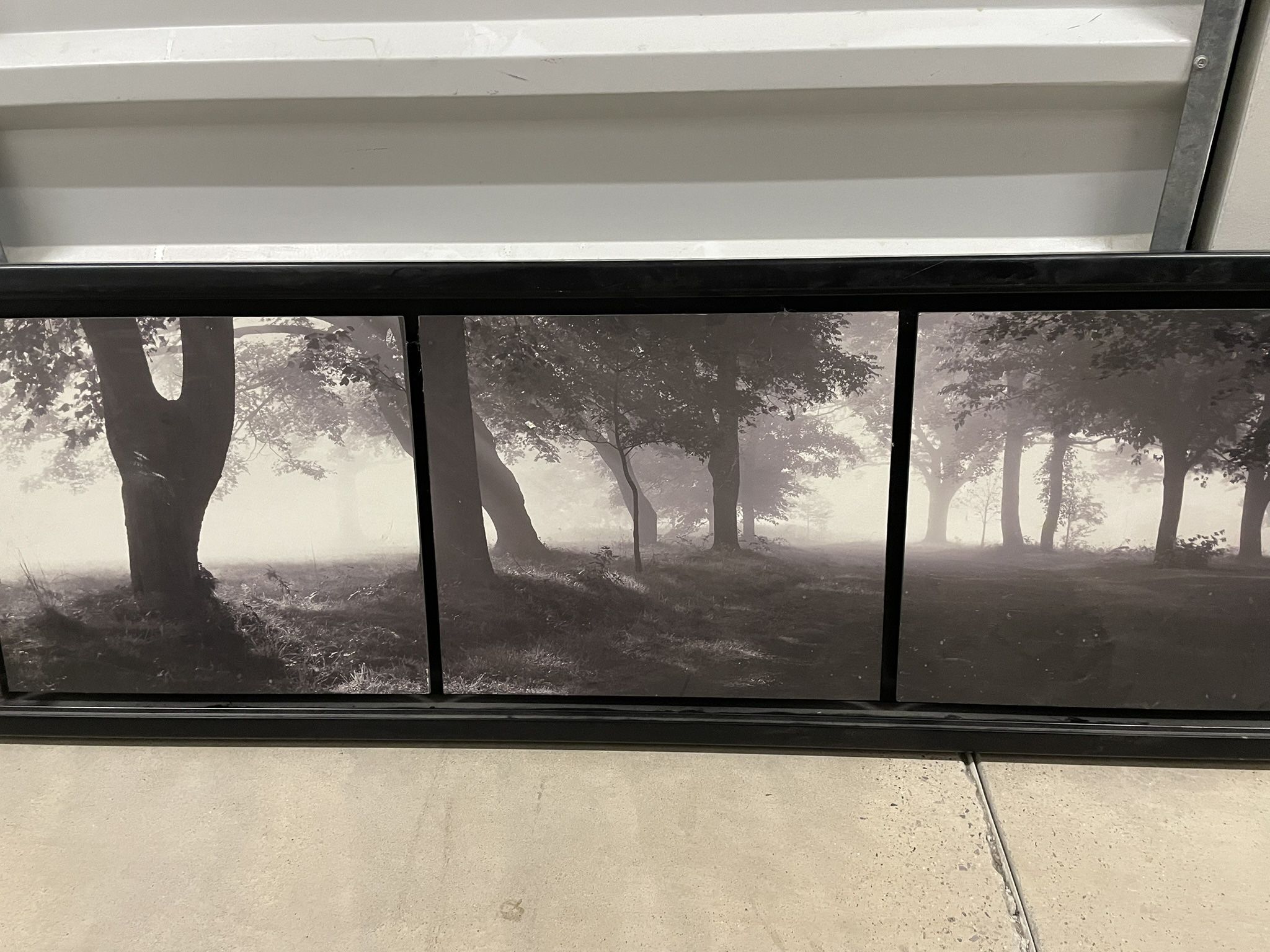 Wall Art- See Description!