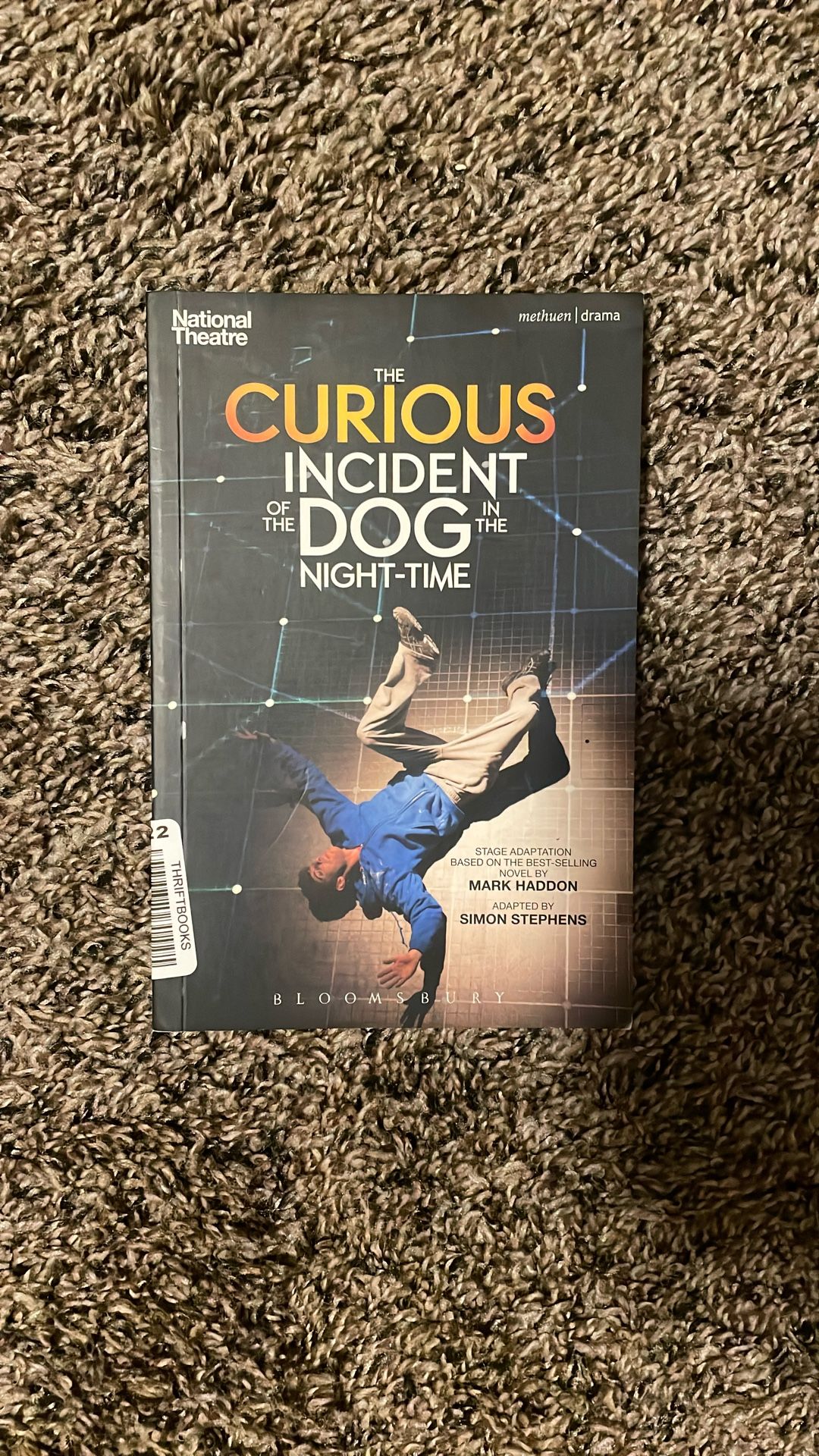 The Curious Incident of the Dog in the Night-Time 