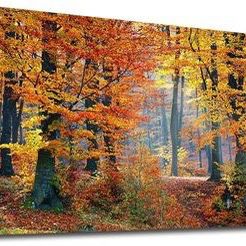 24" x 48" Orange Autumn Forest Woods Nature Framed Canvas Print Wall Art Décor ⭐NEW IN BOX⭐ CYISell