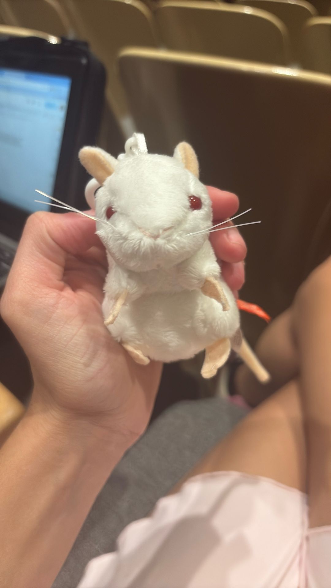smart lil rat