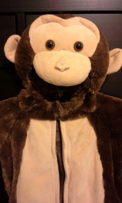 Curious George costume