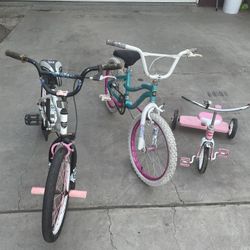 3 Bikes $50