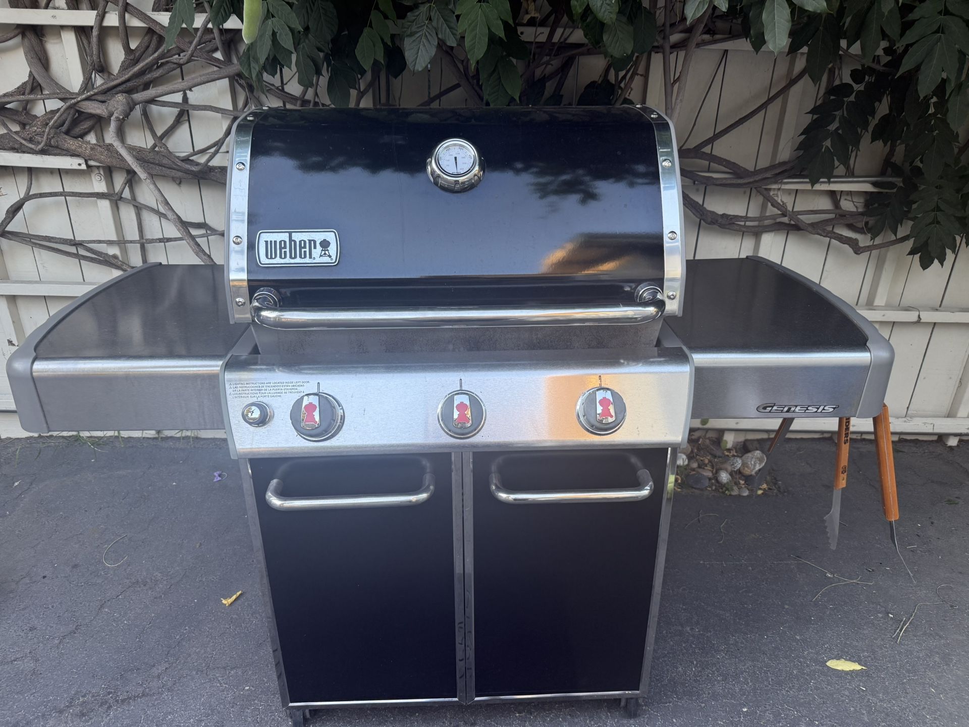 Weber Genesis 310 Grill 
