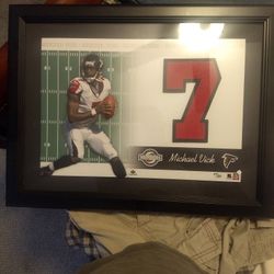 Michael Vick Jersey Number