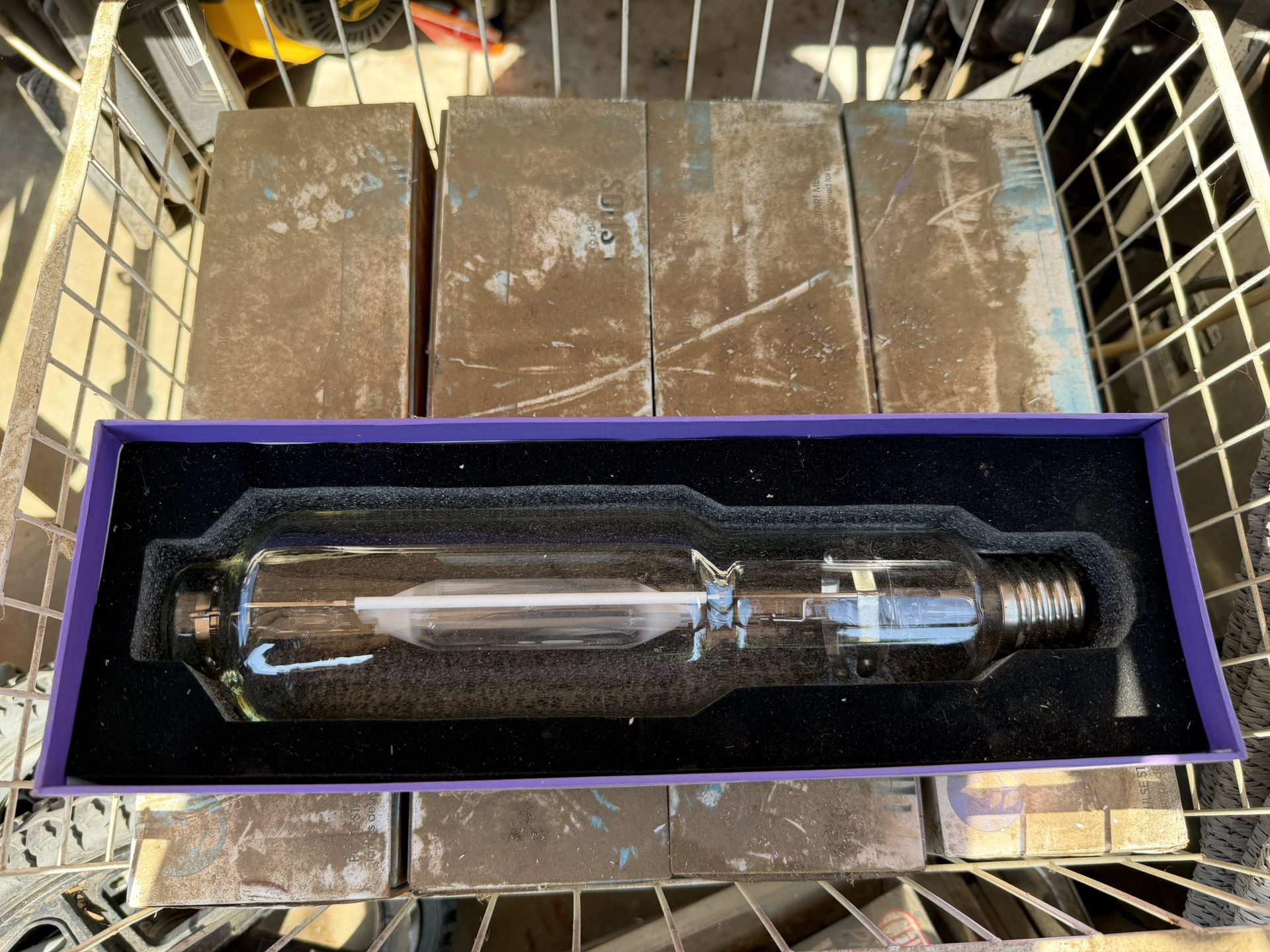 Grow Lamp Light Bulbs