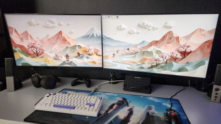 32" LG Ultragear dual monitor setup