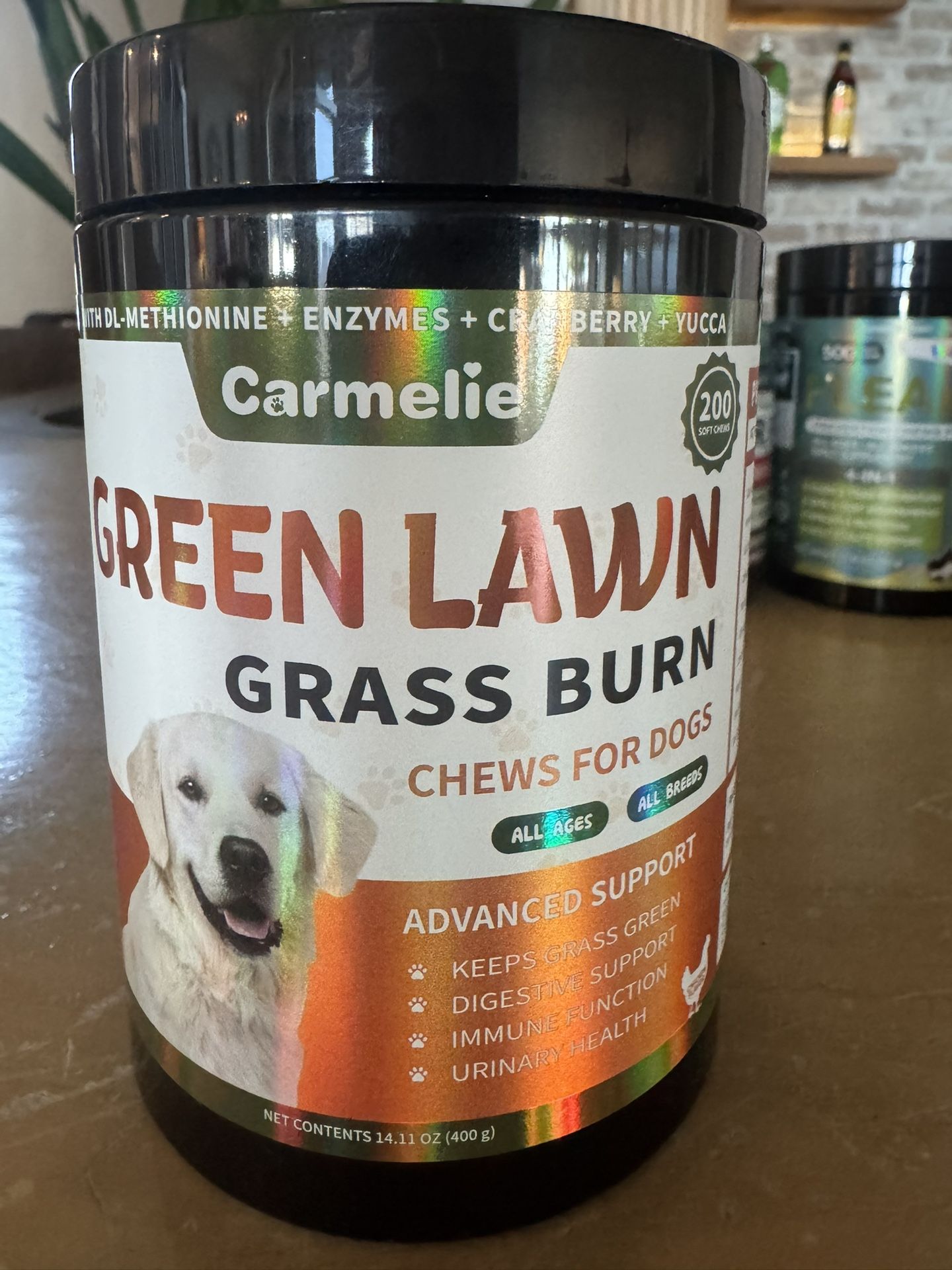 Brand new Green lawn Grass Burn Chews For Dogs