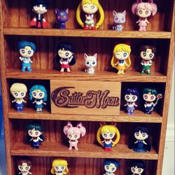 Sailor Moon Funko Mystery Minis w/custom Oak Display