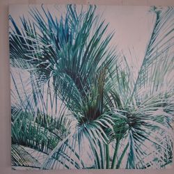 Palms Canvas