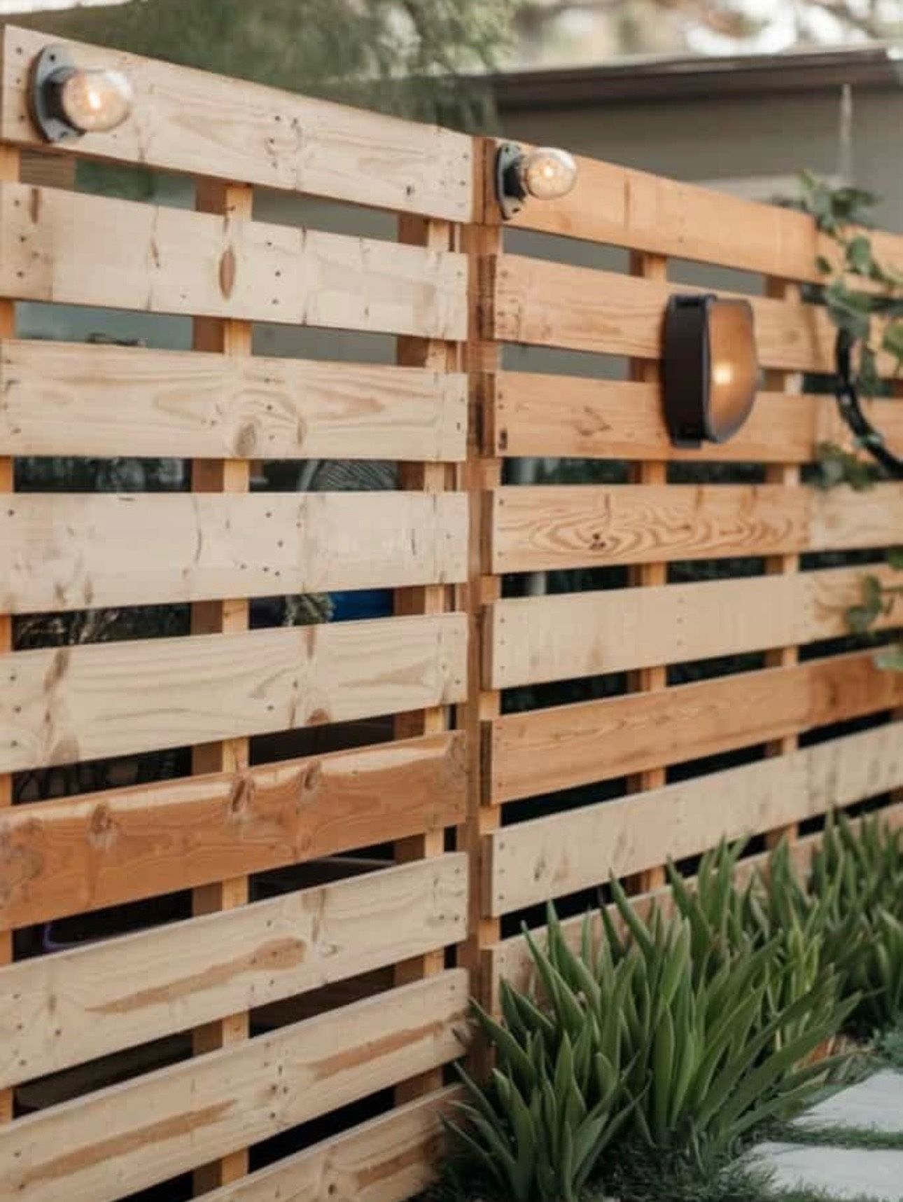 Pallets 48x48