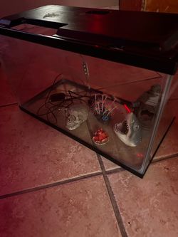 Fish tank