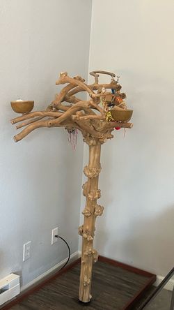 Natural Wood Freestanding Parrot Play Stand