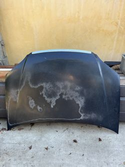 Honda Civic 2000 Sedan Hood