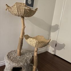 Cat Tree Used 
