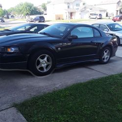 2004 Mustang
