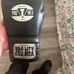 Pro T Mex Boxing Gloves