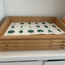 Montessori Botany