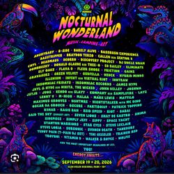 Nocturnal Wonderland