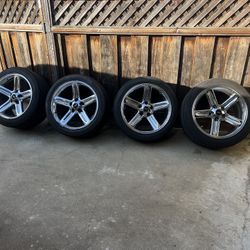 20" svt lightning wheels