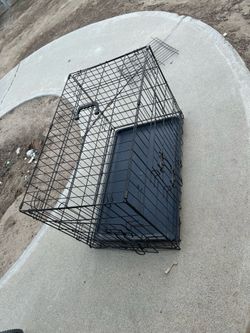 dog kennel