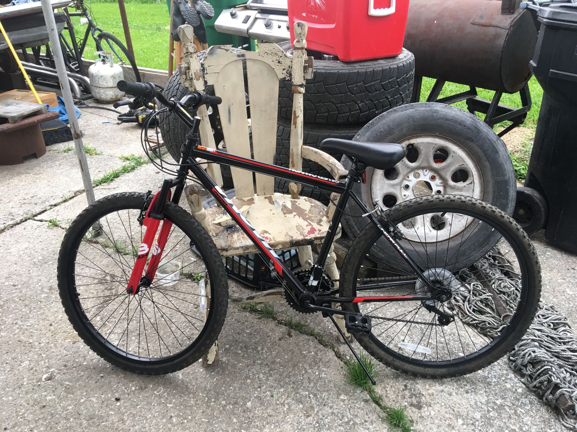 Magna Silver Canyon Bike 3D Dynacraft