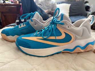Giannis Nike Renew