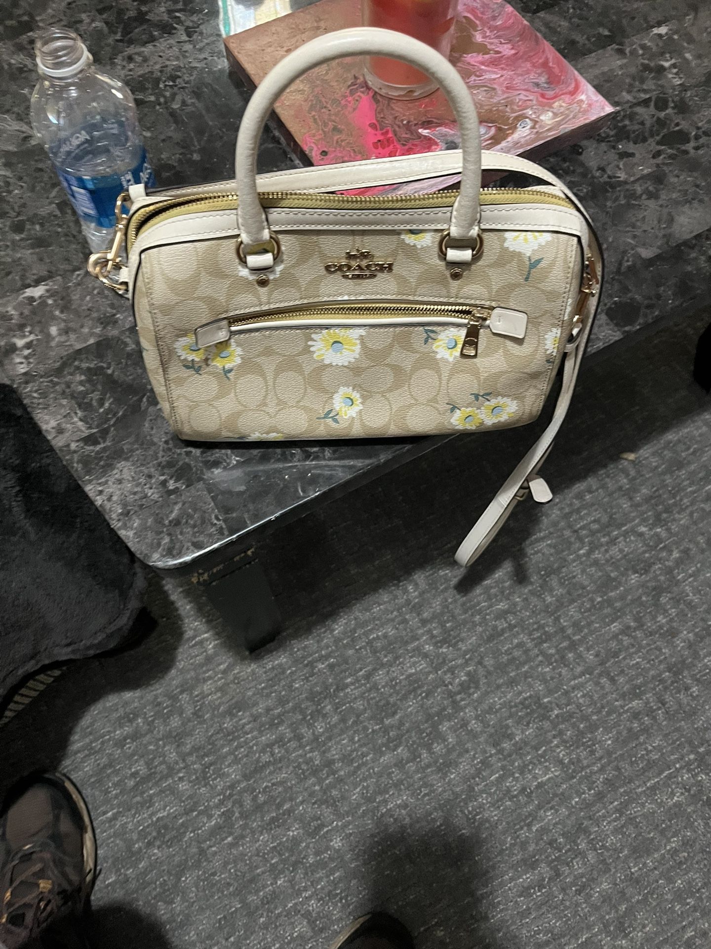Coach Daisy Purse