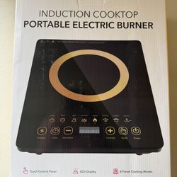 Portable Electric Burner
