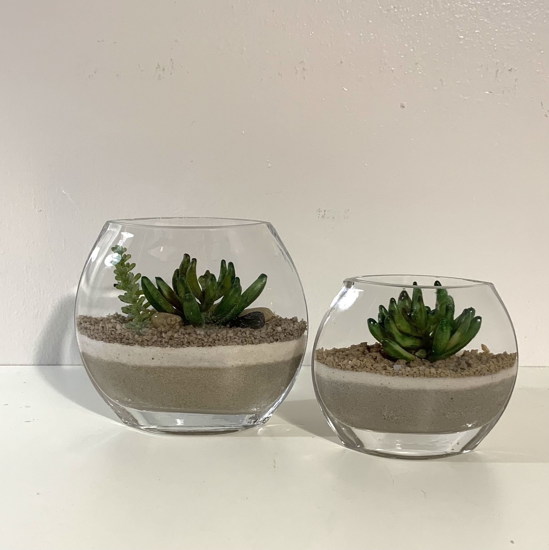 Glass Terrarium Set with Succulents