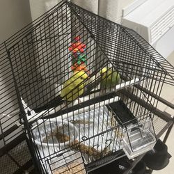 Cage Small 