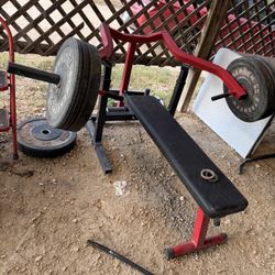 Weight Bench
