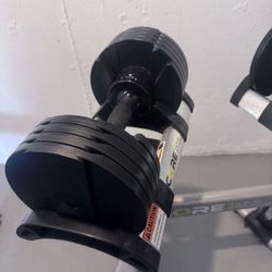 Adjustable Dumbbell And Stand