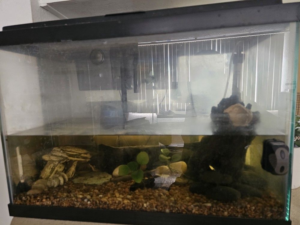 20 Gallon Fish Tank Used Great Condition Comes With Everything You See