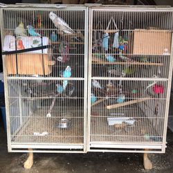 Selling Double cage