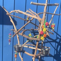 Funky n Curvy African Grey - Amazon Parrot Perch Tree … A Great Socializer … Plus Artsy Rustic Ribbon Wood Lasts For Years ! 👍🏼