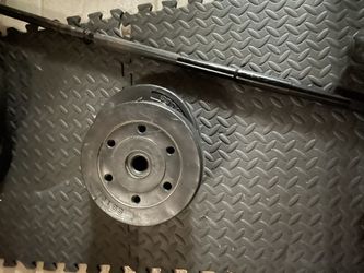 2 10 lbs plates with bar