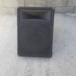 Stage Monitor Carvin
