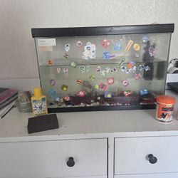Fish Tank And Accessories 