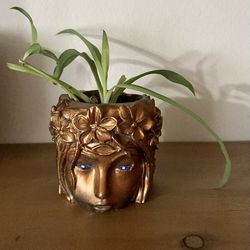 Lady Head Concrete Resin Planter Bronze & Plant Sculpture Flower Pot Boho Indie