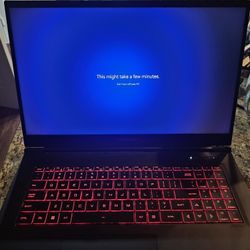 Maingear Laptop Ryzen 9 6900HX 3070ti