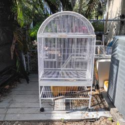 Bird cage 