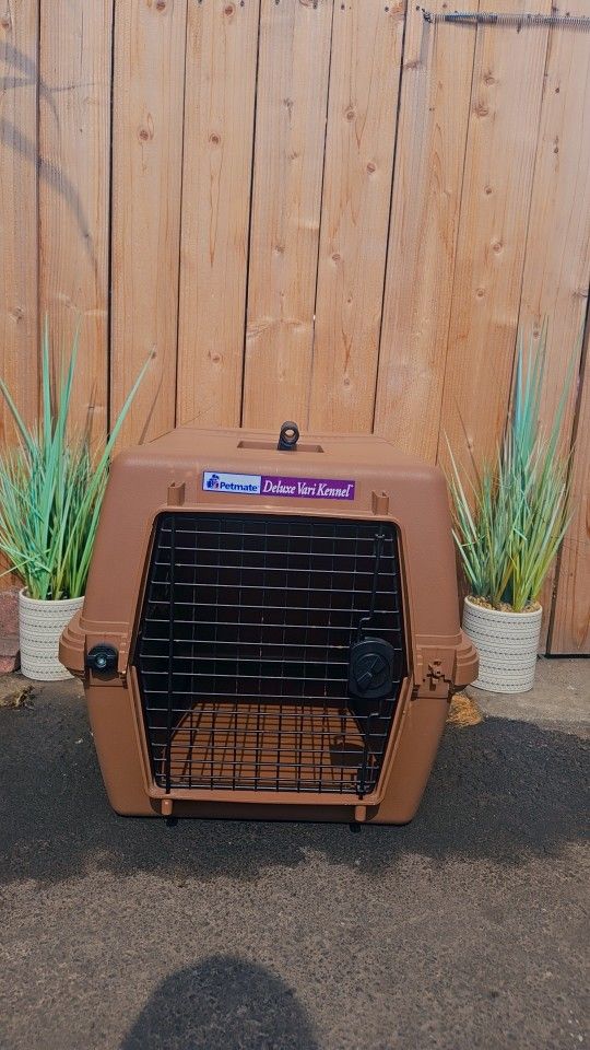 Petsafe Dogs And Cats