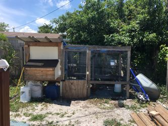 Chicken coop huge .. no chickens