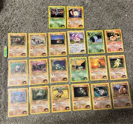 Pokemon - Brock lot