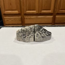 Vintage Metal Souvenir Mt. Rainier Pair of salt and pepper shakers.  Size approximately 2 1/4 inches tall and 2 inches long each shaker.  Preowned Nev