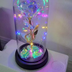 Rose Gifts,Beauty and The Beast Light Rose.