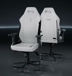 Secretlab TITAN Evo XL - Ash - SEALED + FREE Lumbar Pillow + Wipes